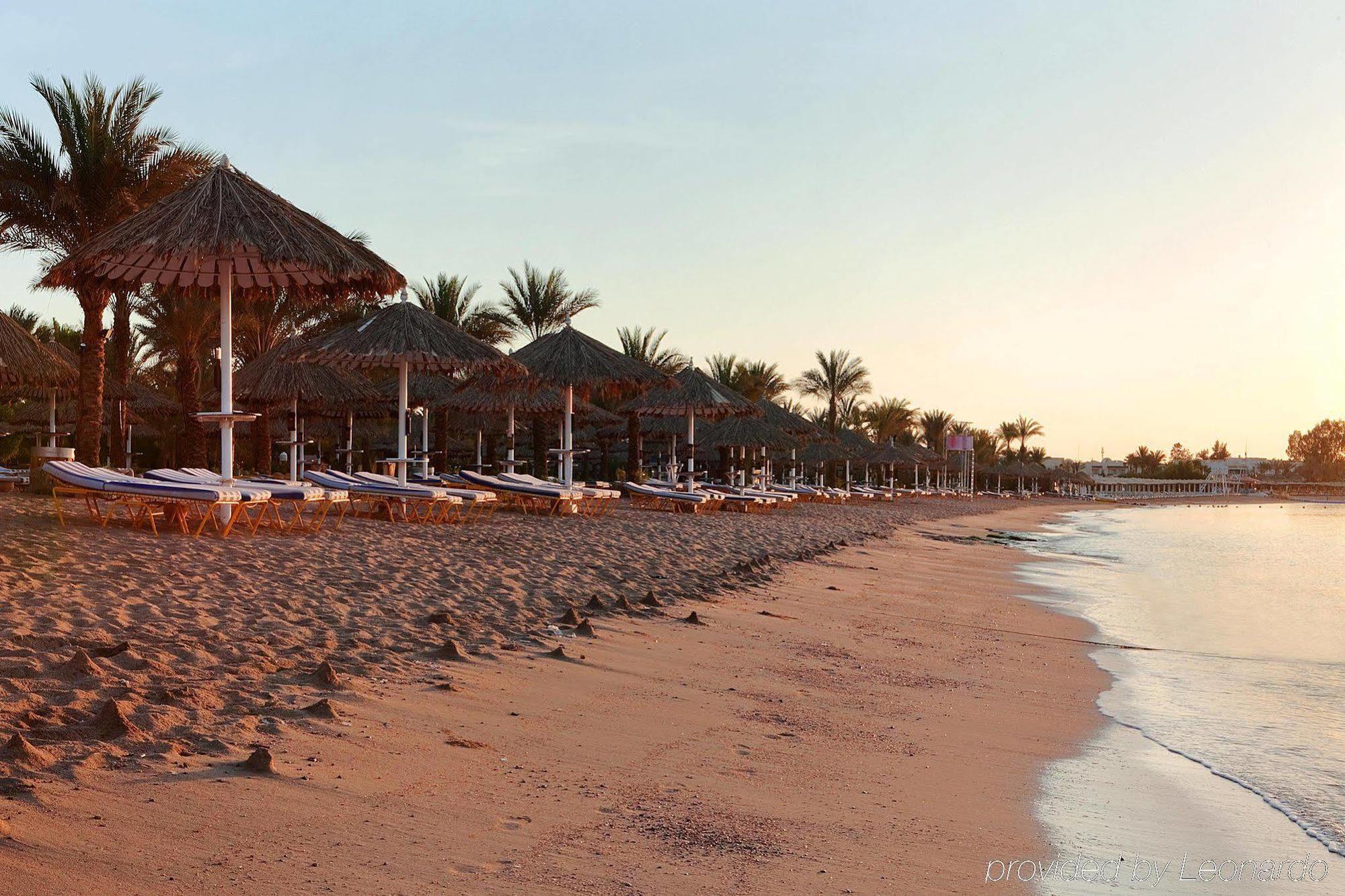هيلتون فيروز 4* شرم الشيخ