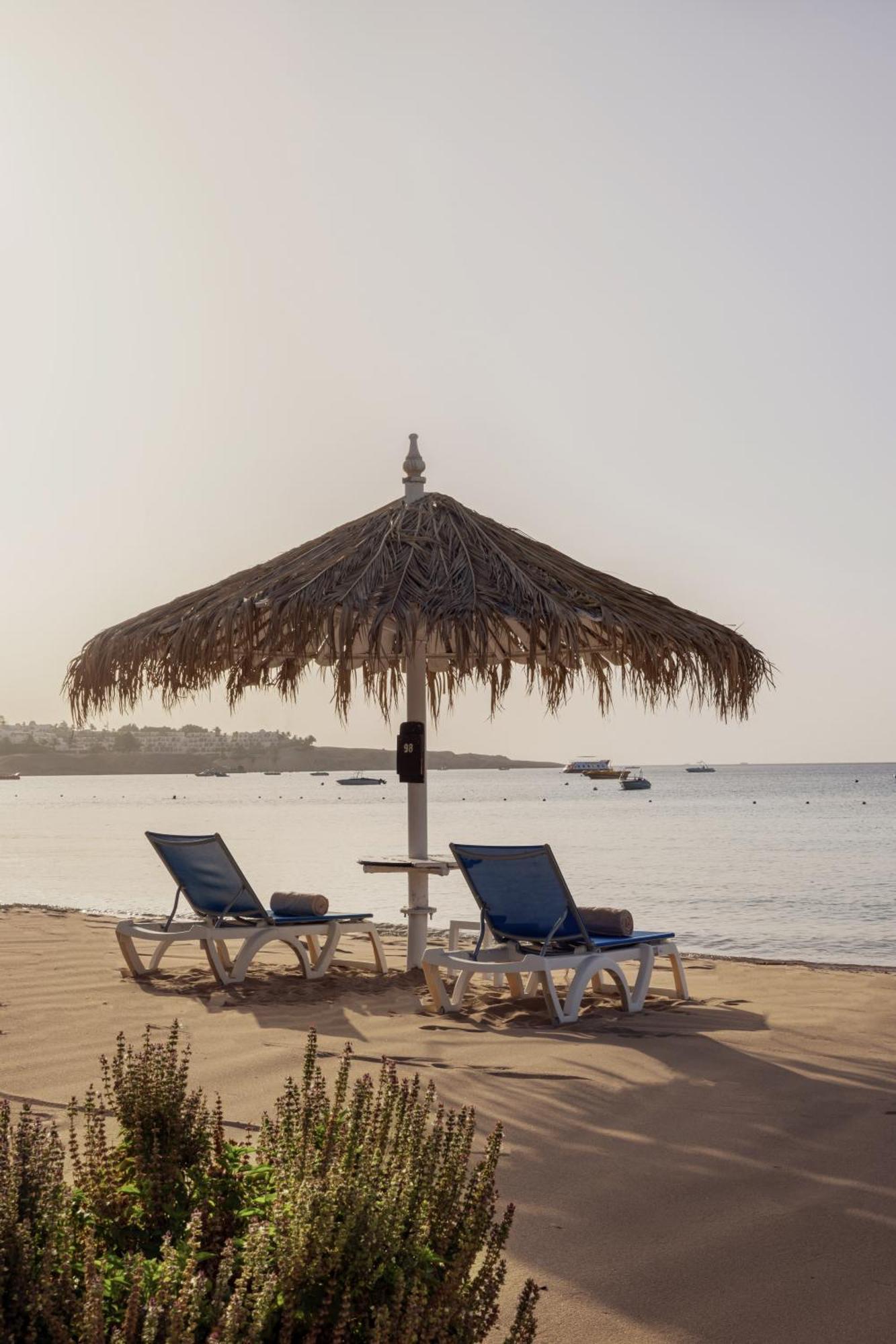 Jaz Fayrouz Resort Sharm el Sheikh